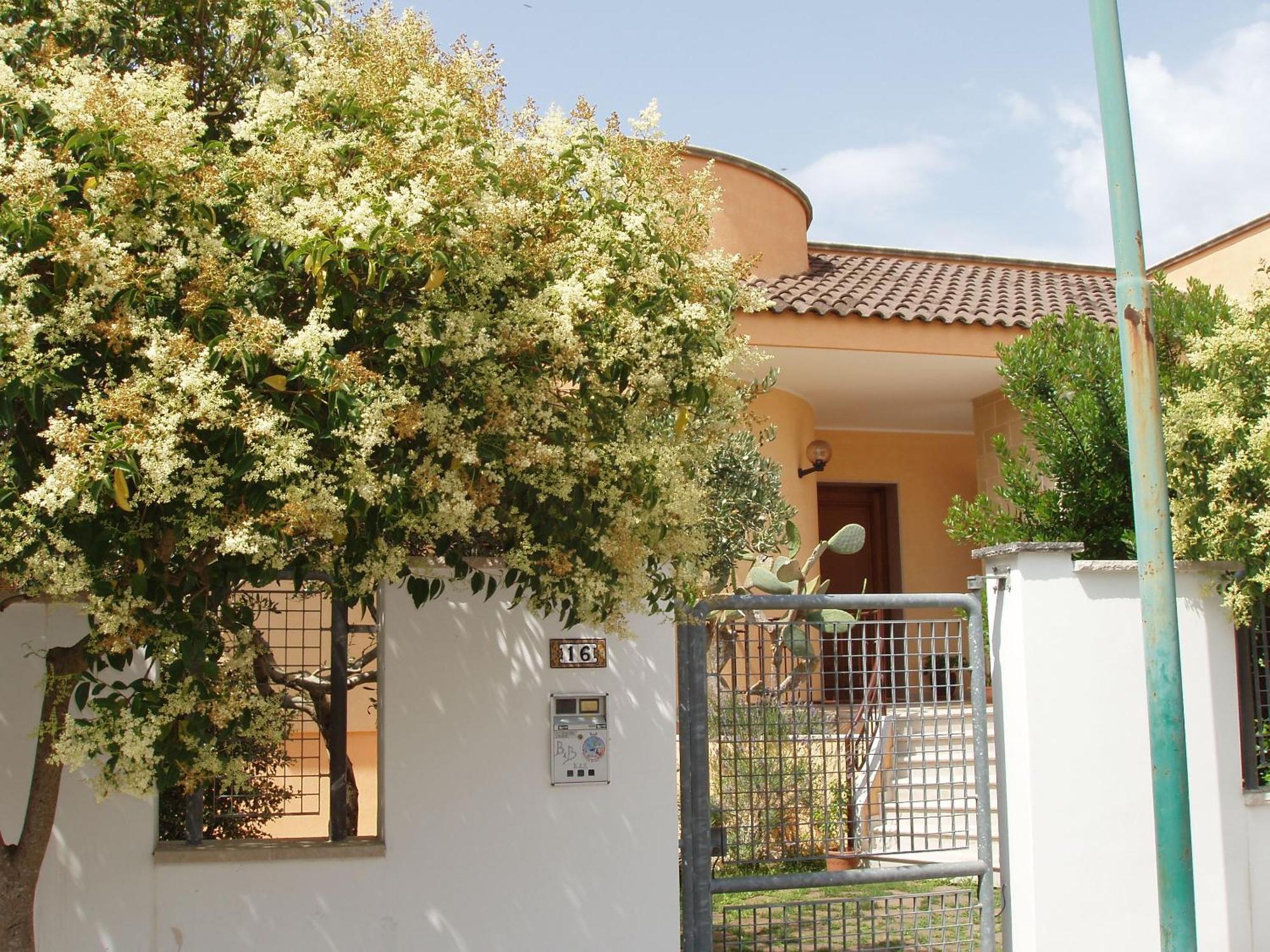 Residenza Del Sole Bed and Breakfast Surbo Exteriör bild