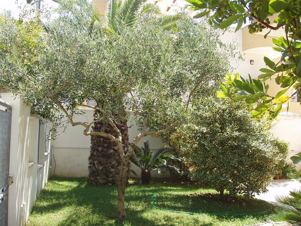 Residenza Del Sole Bed and Breakfast Surbo Exteriör bild